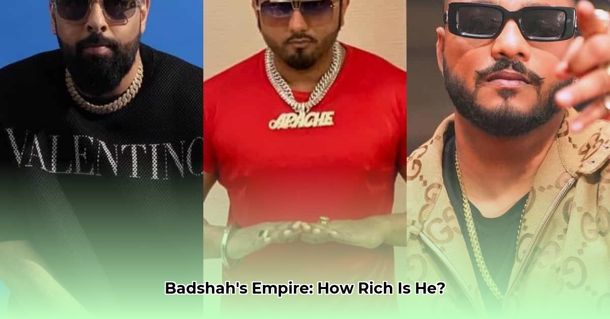 badshah-net-worth